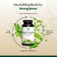 Bone Health and Calcium Support — The Complete Guide